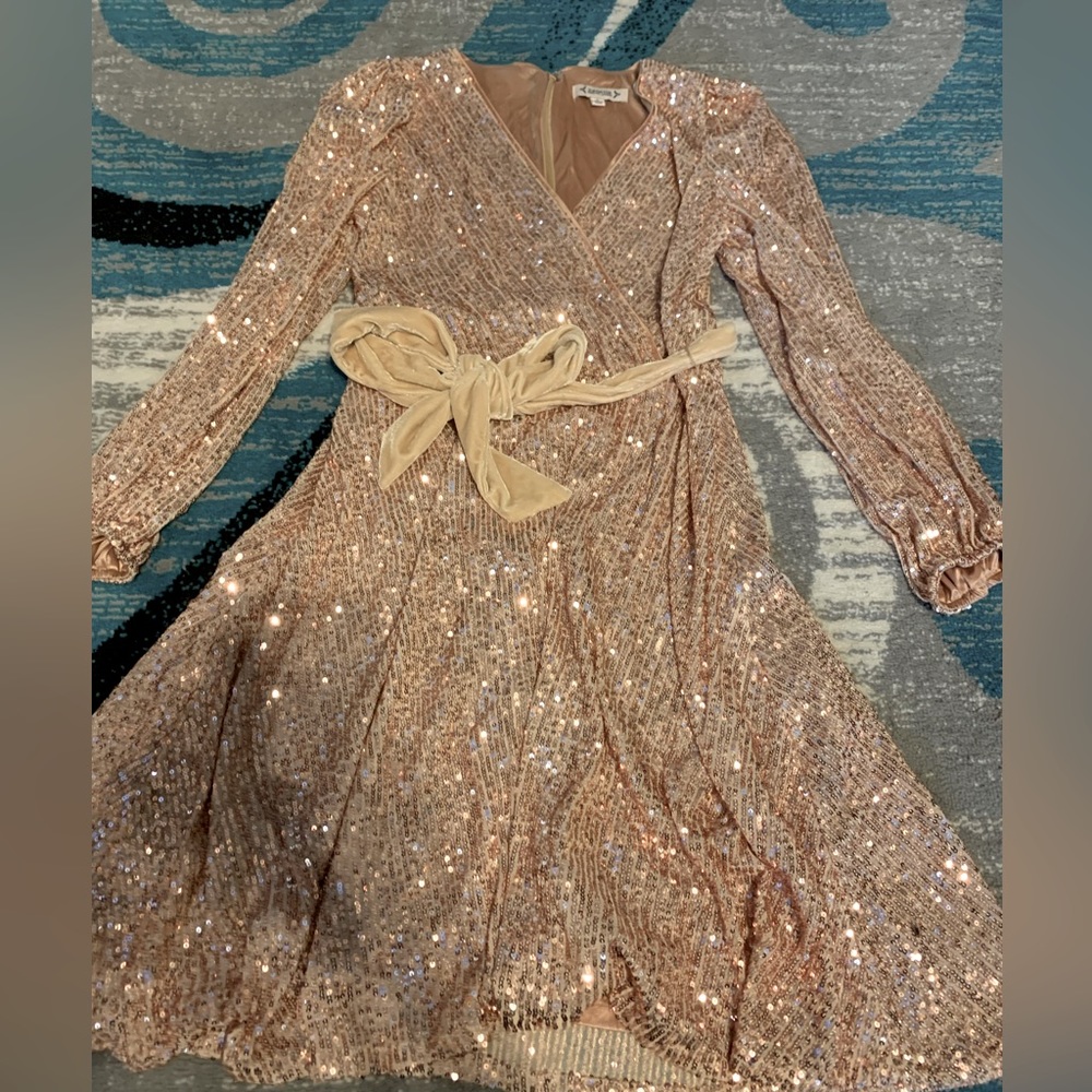 This is a sequined dress